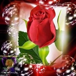 Meet your Posher, Kendra